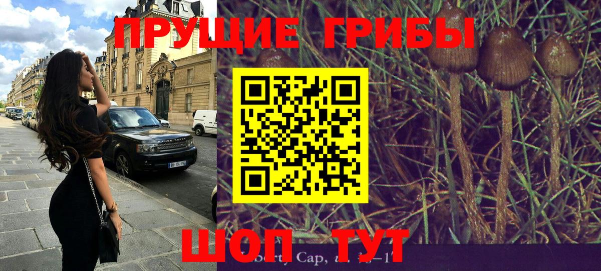 Вичуга  где продают   Вход с VPN  Псилоцибиновые грибы Magic Shrooms  Псилоцибиновые грибы мицелий 