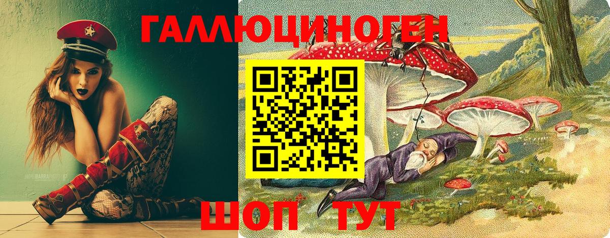 Псилоцибиновые грибы Psilocybe Вичуга